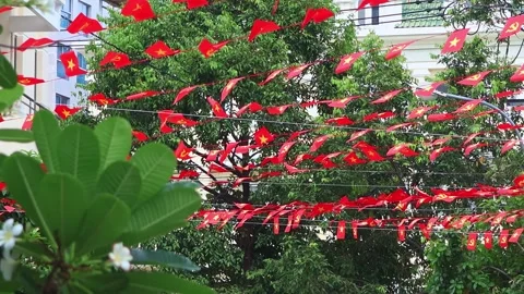 Vietnamese national red flags flying above city street for Independence Day Stock Footage 344580788