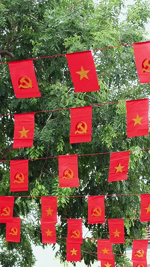 Vietnamese National Red Flags Hanging on City Street Stock Footage 344580796