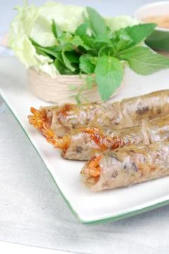 Vietnamese spring roll Stock Photos