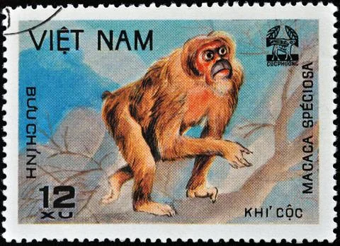 Vietnamese stamp Stock Photos