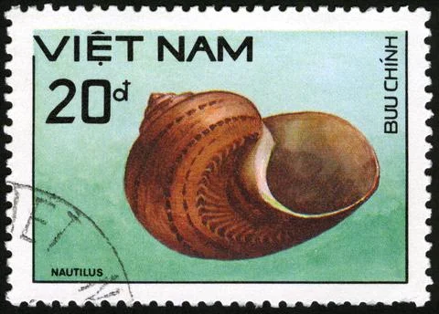 Vietnam,post mark,stamp,molluscs, shell Stock Photos