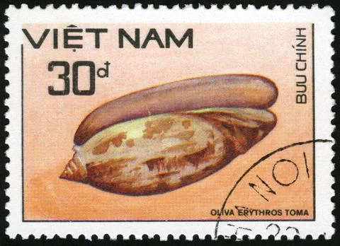 Vietnam,post mark,stamp,molluscs, shell Stock Photos