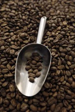 Vietnam's coffee exports decrease in the first nine months of 2023, Hanoi - 03 O Stock Photos