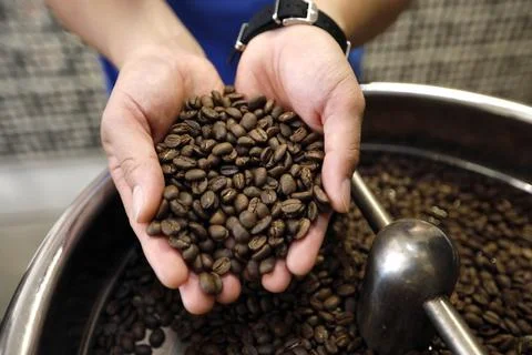 Vietnam's coffee exports decrease in the first nine months of 2023, Hanoi - 03 O Stock Photos