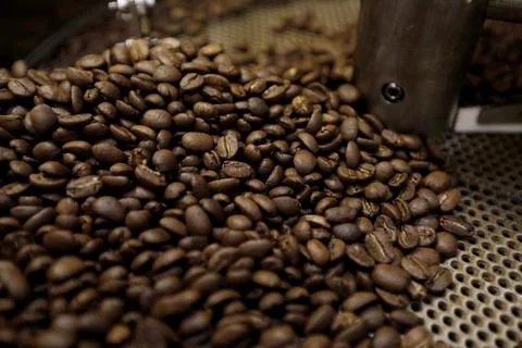 Vietnam's coffee exports decrease in the first nine months of 2023, Hanoi - 03 O Stock Photos