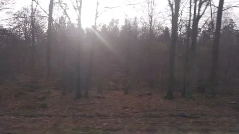 Viev From the Train Stock Footage 151748941