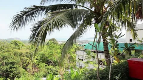 View 1 Stock Footage 10875183