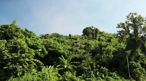 View 2 Video stock 10875156