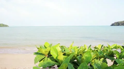 View 8 Stock Footage 10890357