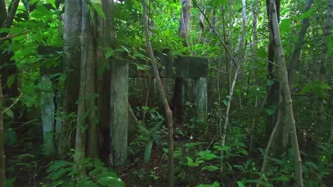 View of Abandoned Historic Concrete Structure in the Forest Stock Footage 219736097