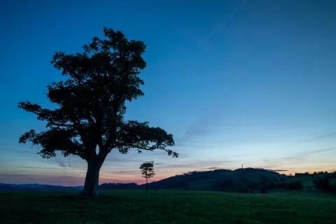 View of an abandoned tree on a hill beyond the horizon of a sunset orange col Stock-Fotos