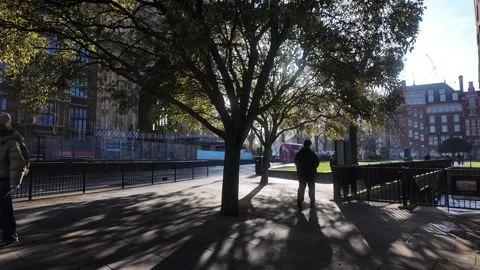 View of Abingdon Street with trees and the Houses of Parliament in Westminster Stock-Footage 328353228