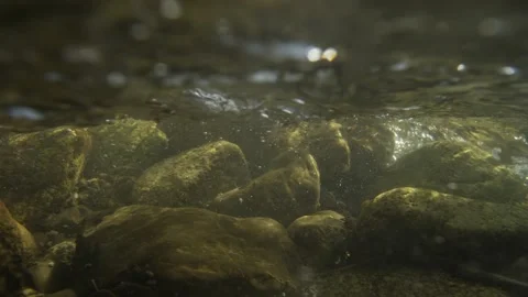 View above and below the water of mountain stream as snow melts Stock Footage 156047531