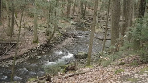 View from above: a babbling brook 스톡 동영상 166534243