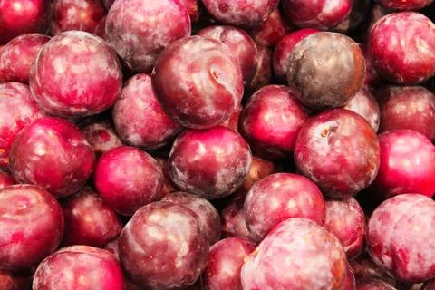 View from above. background Macro photo food fruit plum. Fresh plums texture Photos