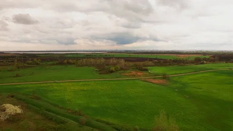 View From Above Blooming Spring Meadows in the Countryside Stock Footage 106632255
