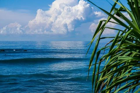 View from above to the blue ocean waves on surfing spot through the branches  Stock Photos