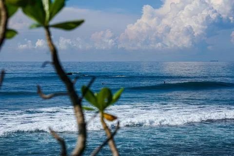 View from above to the blue ocean waves on surfing spot through the branches  Stock Photos