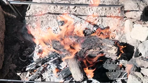 View from above at the burning tree in a large fire, preparing coals  Vídeos de archivo 145606076