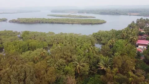 View from above, the camera flies over the jungle and a large river,background. Stock Footage 228685135