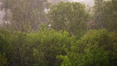View from above, city park , spring day, thunderstorm in city, strong wind and Video stock 90801425
