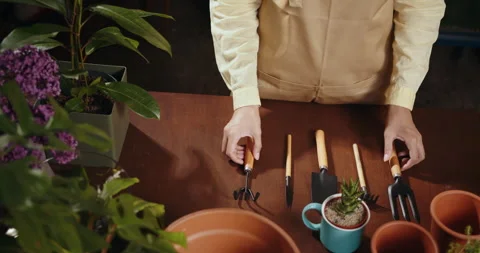 View from above of close-up cropped shot of unrecognizable female florist in Stock Footage 247727651