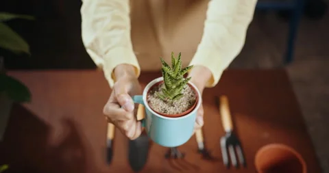 View from above, close-up cropped shot of unrecognizable female florist in apron Stock Footage 247728237