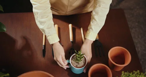 View from above of close-up cropped shot of unrecognizable female florist in Video stock 247728703