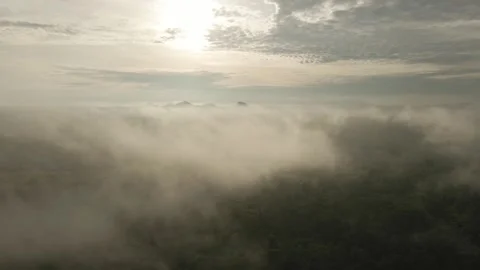 View Above the Clouds of the Borneo Forest 4k Vídeos de archivo 305528635