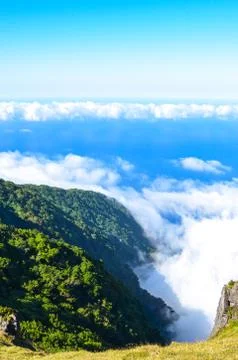 View from above the clouds in Fanal, Madeira Island, Portugal. Old laurel trees Stock Photos
