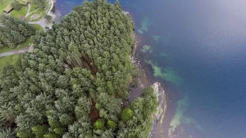 View from above on the coastline of the blue clear sea, a dense green forest in Stock Footage 80250973