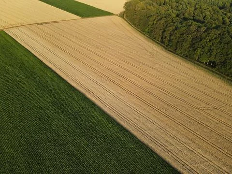 View from above of corn and crop fields in the countryside in summer Stock Photos