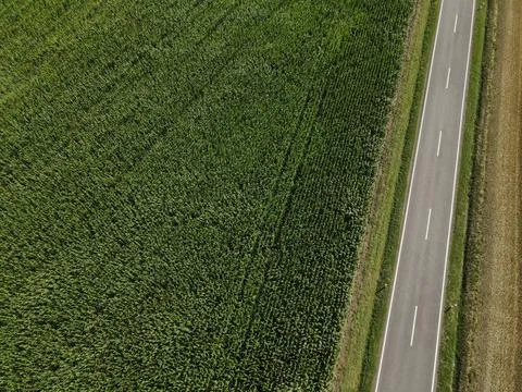 View from above of a cornfield with a road on the side Stock Photos