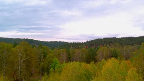 View from above on the crowns of green deciduous trees. Forest land against the Stock Footage 155072641