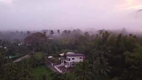 View from above. A drone flies over residential buildings and a rainforest Stock Footage 195060853
