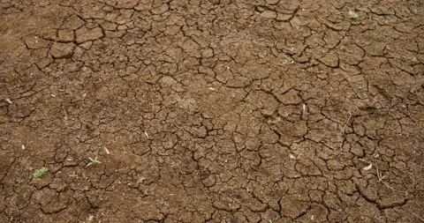 View from above, dry soil during drought. Cracked mud with grass. Stock Footage 219862427