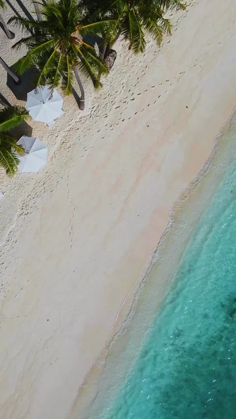 View from above at empty beach at sunny day Stock Footage 303956868