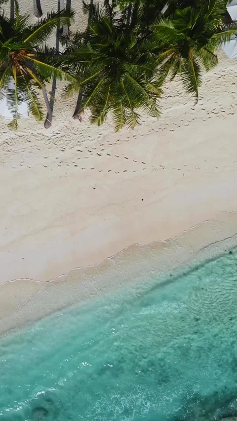 View from above at empty beach at sunny day Stock Footage 303956955