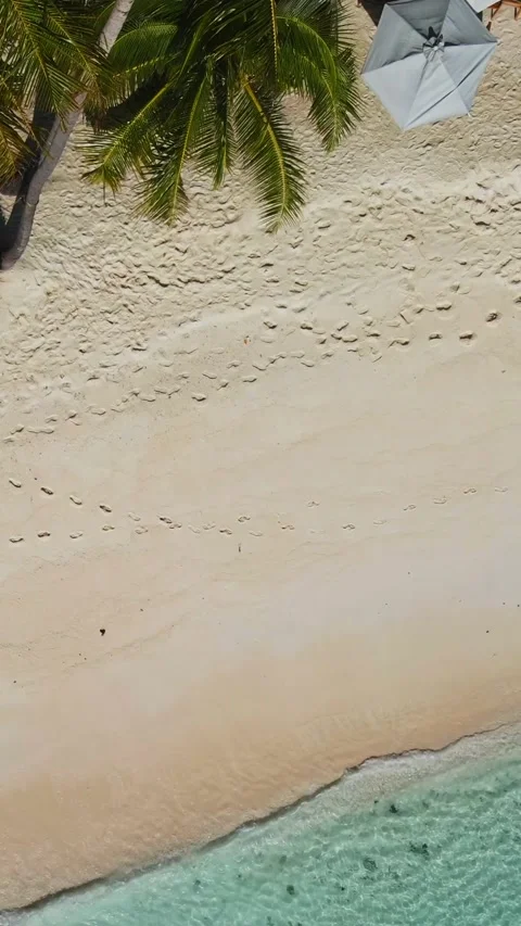 View from above at empty beach at sunny day Stock Footage 303956990