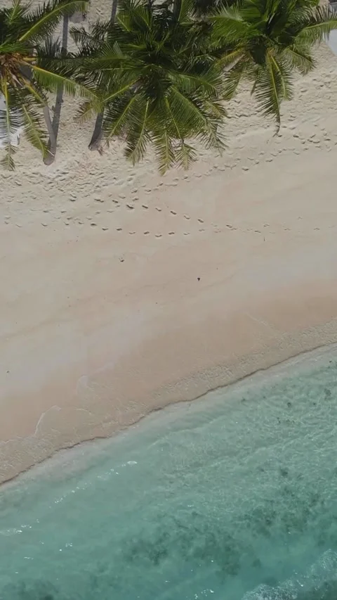 View from above at empty beach at sunny day Stock Footage 303957088