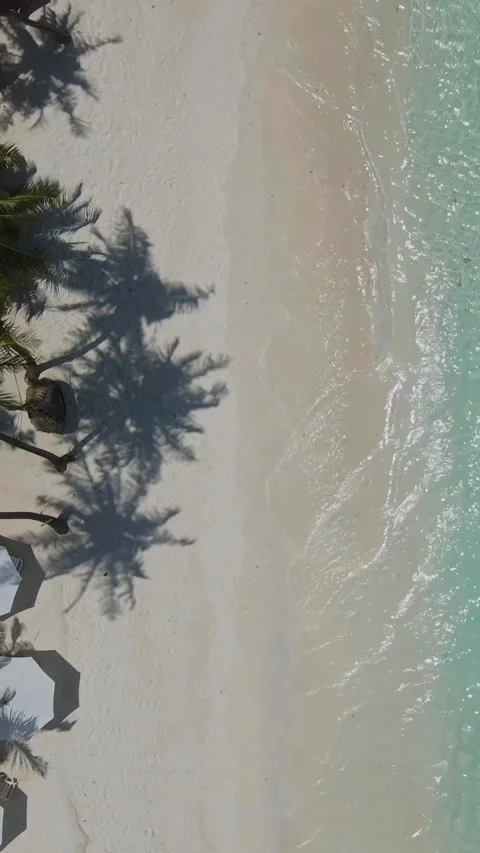 View from above at empty beach at sunny day Stock Footage 303957138