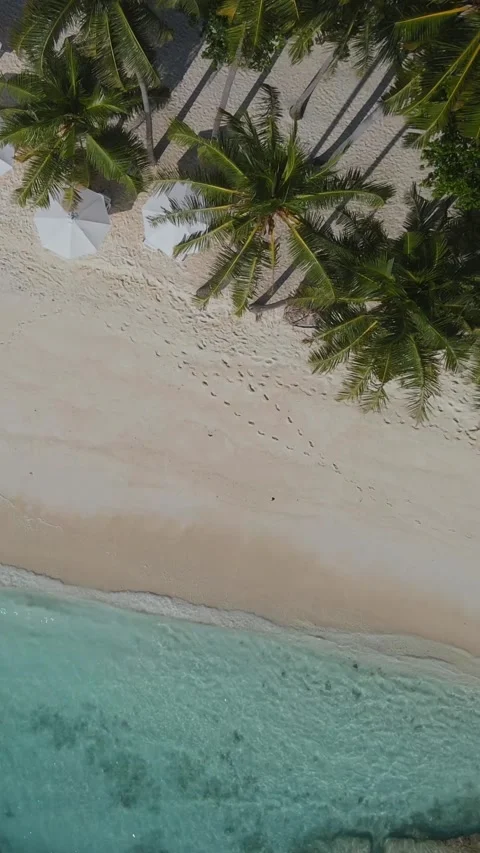 View from above at empty beach at sunny day Stock Footage 303957182