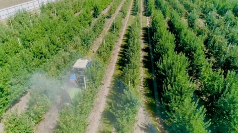 View from Above of the Fan Sprayer applying Chemicals in an Apple orchard. Stock Footage 144983113