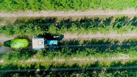 View from Above of the Fan Sprayer applying Chemicals in an Apple orchard. Stock Footage 144983685
