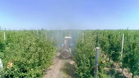 View from Above of the Fan Sprayer applying Chemicals in an Apple orchard. Stock Footage 144984310