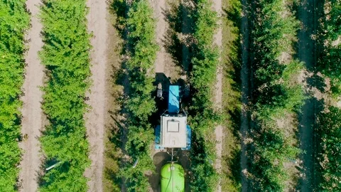 View from Above of the Fan Sprayer applying Chemicals in an Apple orchard. Stock Footage 144984978