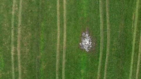 View from above on fields with tyre tracks of tractors and other agricultural Stock Footage 345758392