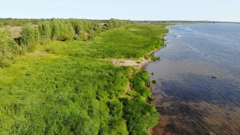 View from above. Flying over the river and trees in summer Vidéo 99390111