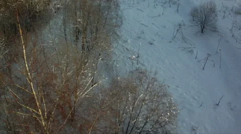View from above of forest in wintertime Video stock 45256393