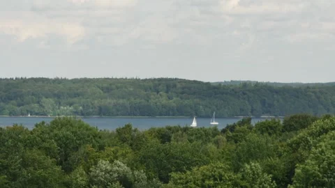 View from above of the harbor with yachts surrounded by forests Vídeos de archivo 253764026